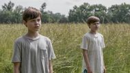 Goodnight Mommy (2014) | Image Source: RADiUS-TWC